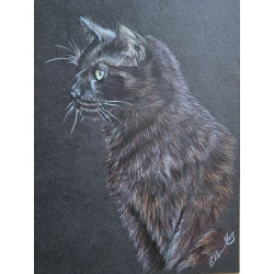 Pencil and pastel art